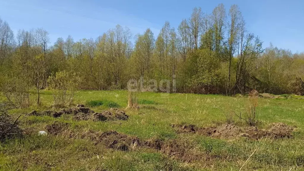 Участок в Ленинградская область, Волховский район, Кисельнинское ... - Фото 0