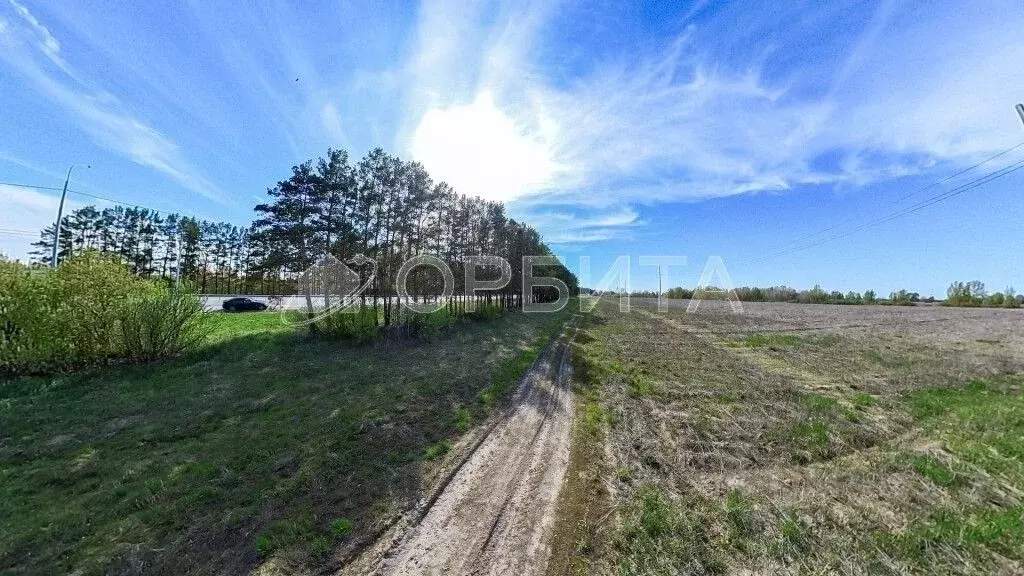 Участок в Тюменская область, Тюменский муниципальный округ, ... - Фото 1