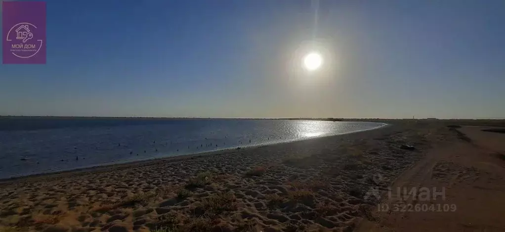 Участок в Крым, Сакский район, Штормовское с/пос, с. Крыловка  (6.0 ... - Фото 2