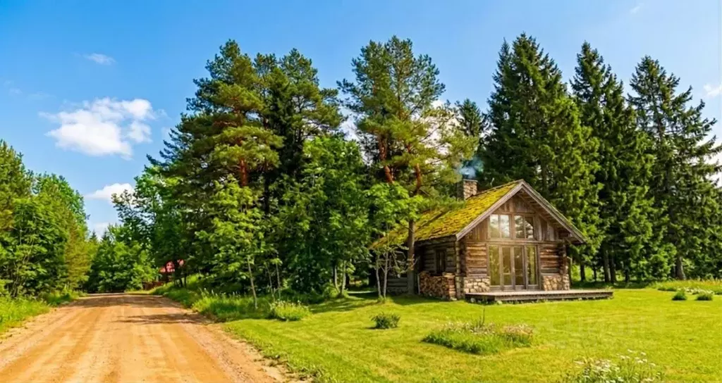 Участок в Новгородская область, Демянский муниципальный округ, д. ... - Фото 1