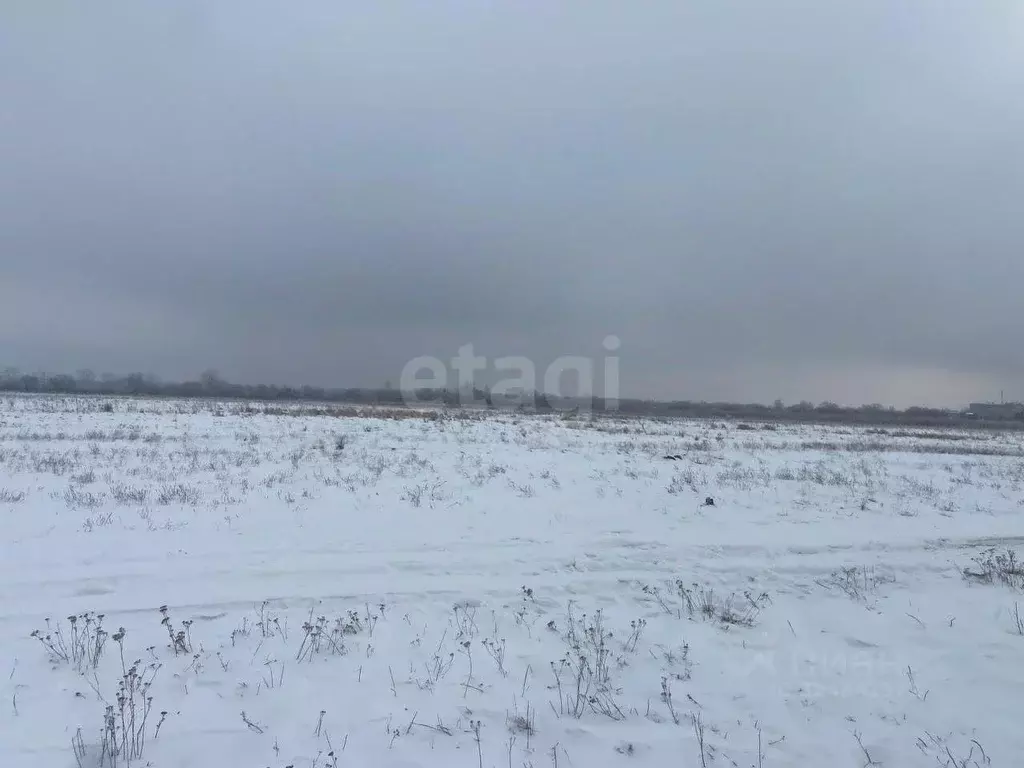 Участок в Хабаровский край, Хабаровский район, с. Восточное Клубная ... - Фото 1