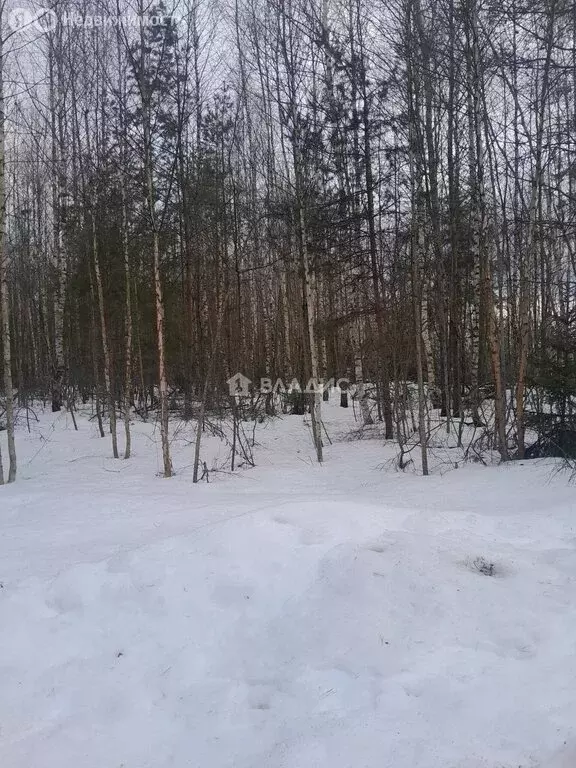 Участок в Электрогорск, 6-я Юго-Западная улица (12 м) - Фото 2