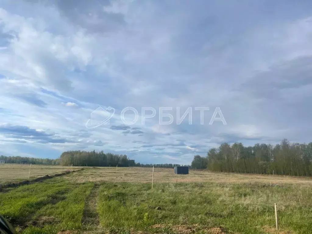 Участок в Тюменская область, Тюменский муниципальный округ, ... - Фото 1