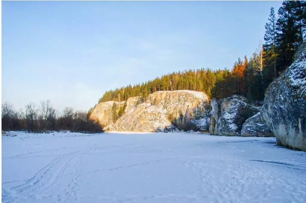 Участок в Свердловская область, Слободо-Туринский район, ... - Фото 1