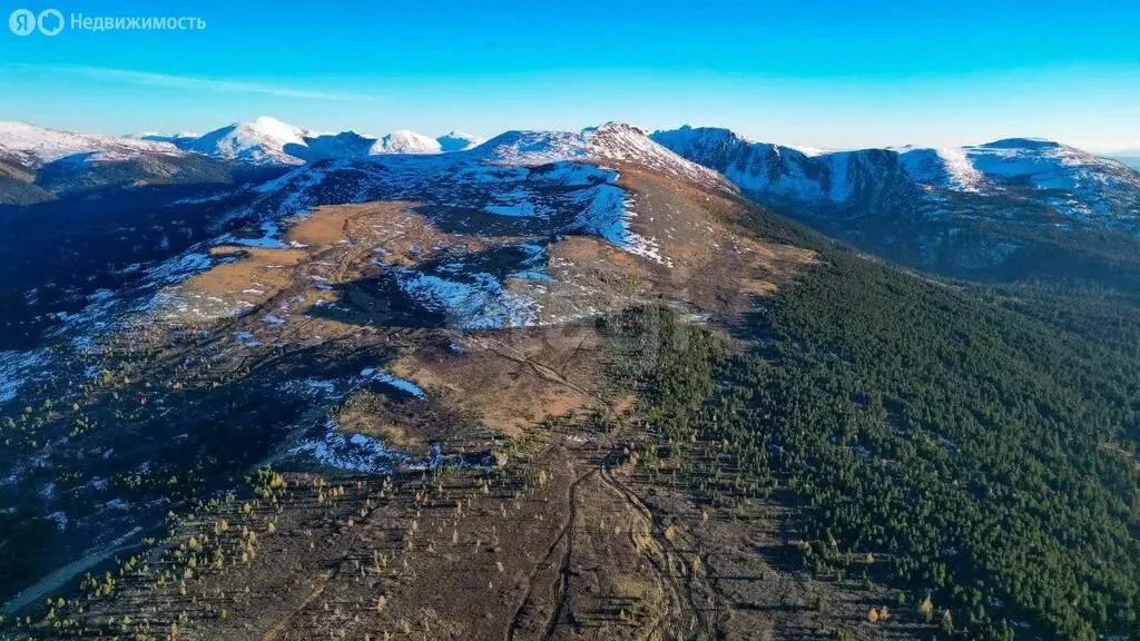 Участок в Чемальский район, село Чемал (19.92 м) - Фото 2