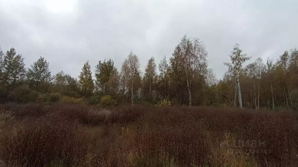 Участок в Московская область, Шатура  (6.0 сот.) - Фото 0