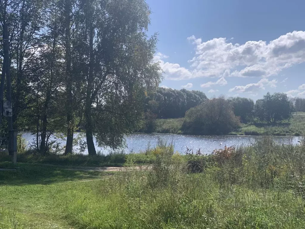 Дом в Тульская область, Алексин городской округ, д. Ладерево 2 (32 м) - Фото 2