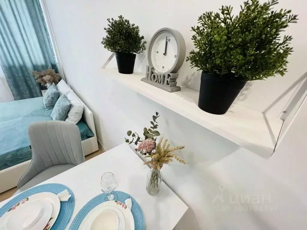 1-к кв. Московская область, Дмитров Оборонная ул., 30 (28.0 м) - Фото 1