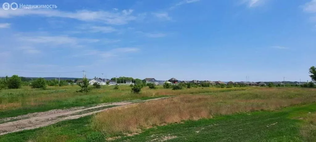 Участок в Черницынский сельсовет, деревня Ройково (10 м) - Фото 0