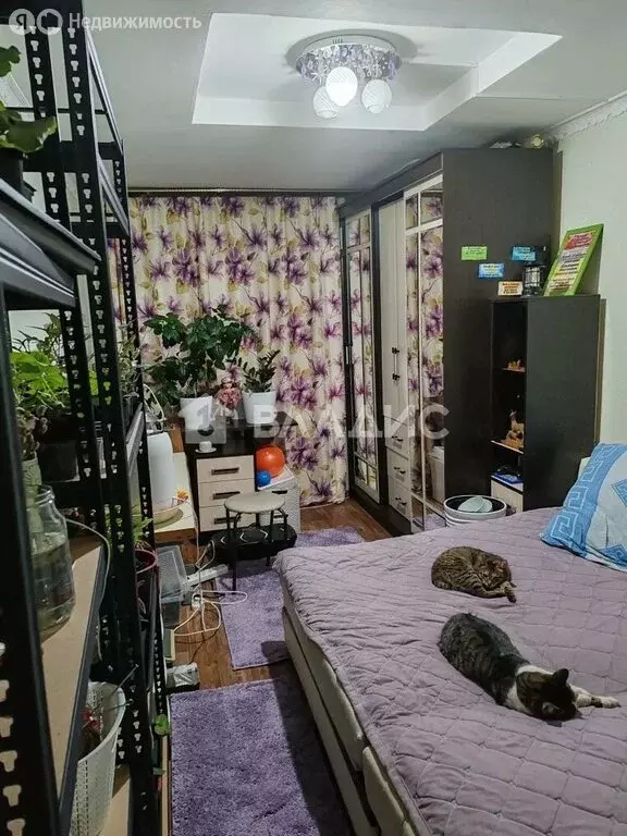 Дом в Вязники, улица Степана Разина, 26 (73.6 м) - Фото 2