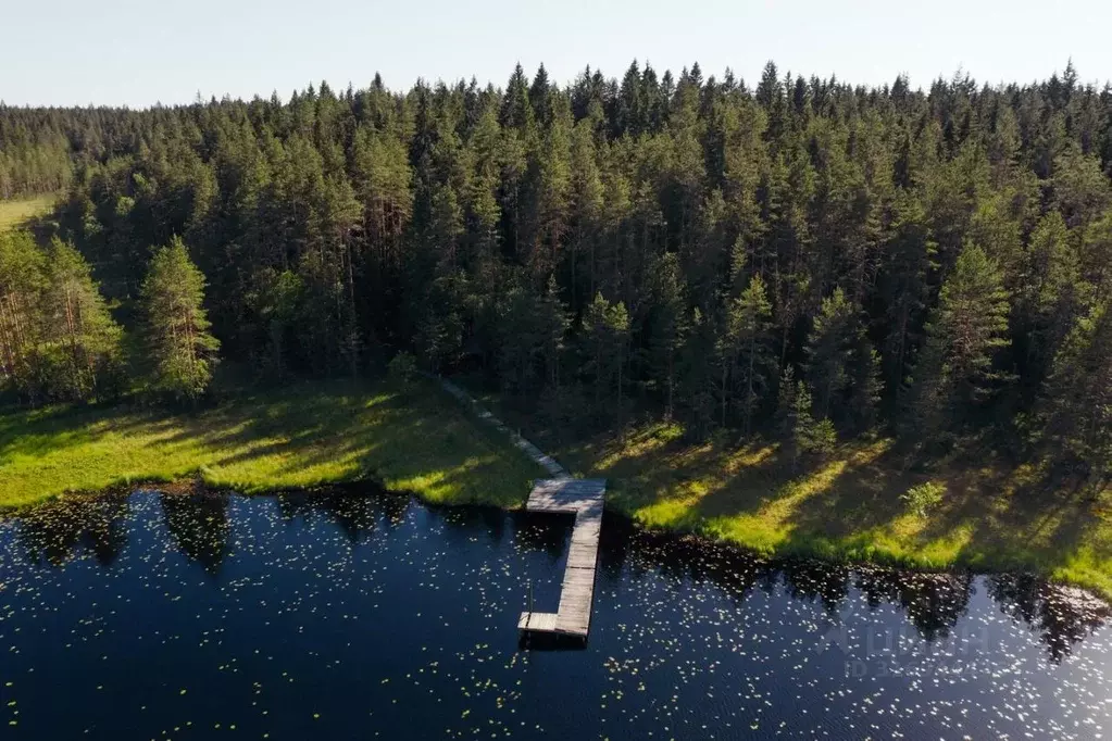 Участок в Ленинградская область, Выборгский район, Первомайское с/пос, ... - Фото 1