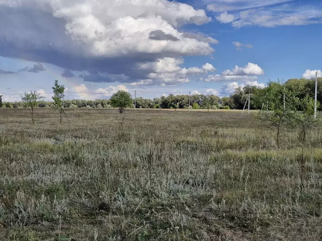 Участок в Самарская область, Красный Яр с/пос, с. Нижняя Солонцовка, ... - Фото 1