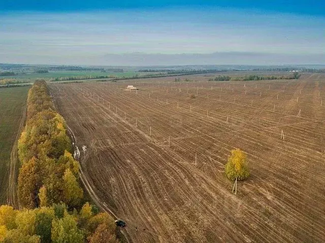 Участок в Татарстан, Лаишевский район, с. Державино  (10.0 сот.) - Фото 0