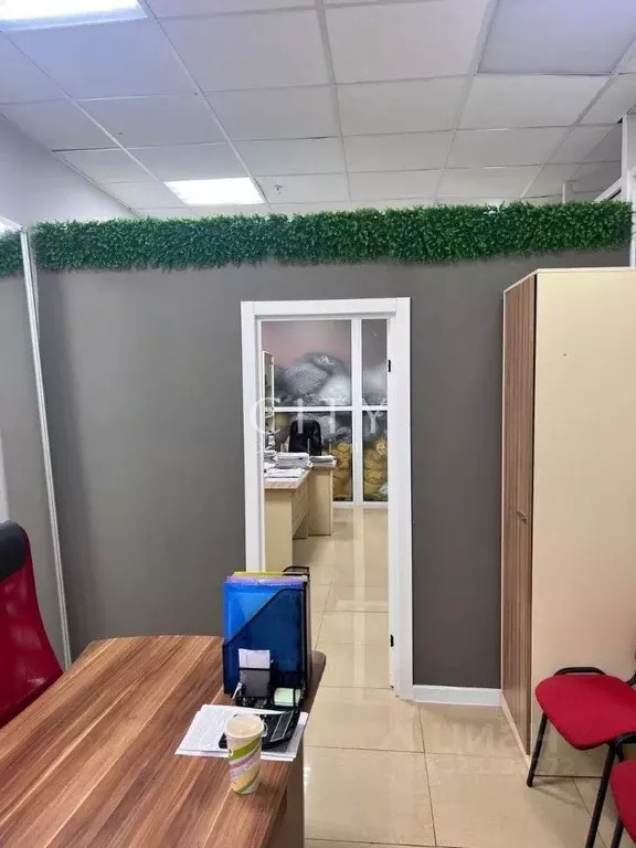 Офис в Тюменская область, Тюмень ул. Некрасова, 10 (35 м) - Фото 2