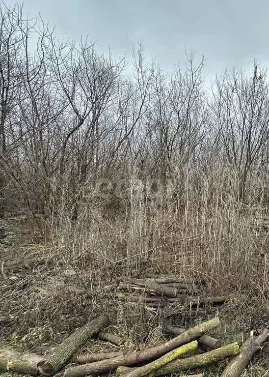 Участок в Воронежская область, с. Семилуки ул. Грушевая, 9 (9.3 сот.) - Фото 1