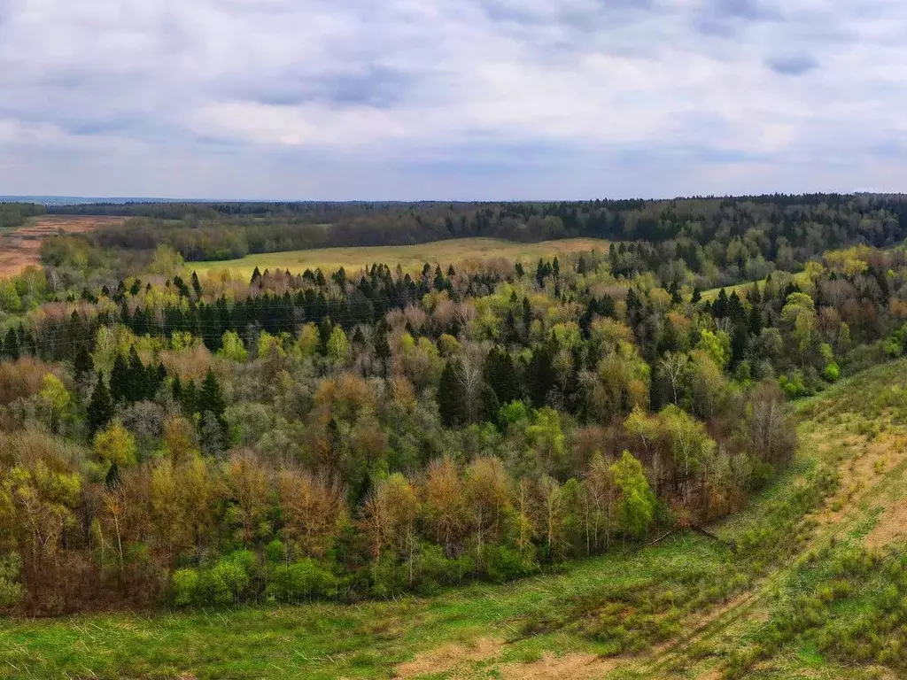 Участок в Московская область, Клин городской округ, д. Соголево  (6.44 ... - Фото 1