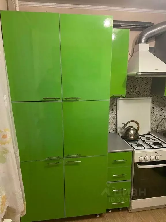 1-к кв. Самарская область, Самара Крутые Ключи мкр, ул. Евгения ... - Фото 2