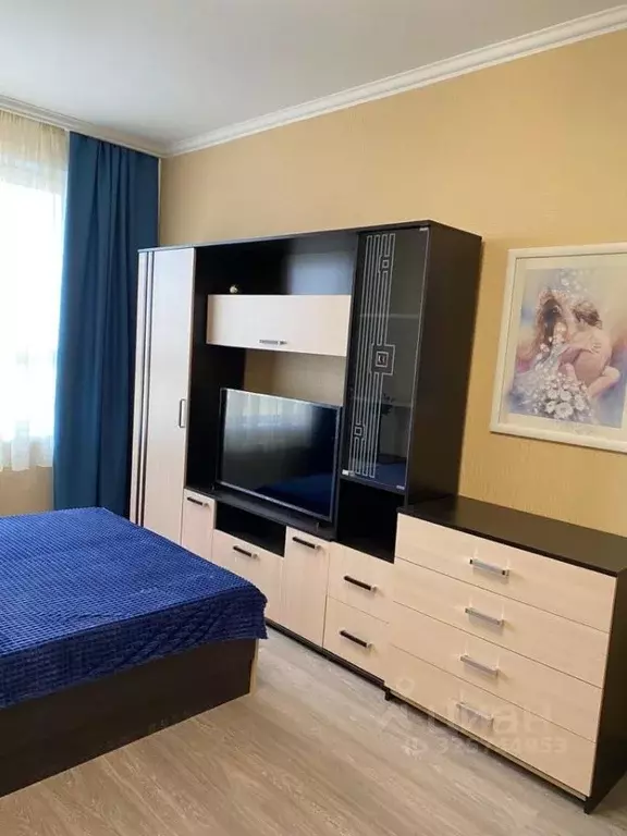 1-к кв. Ленинградская область, Ломоносовский район, Аннинское ... - Фото 2