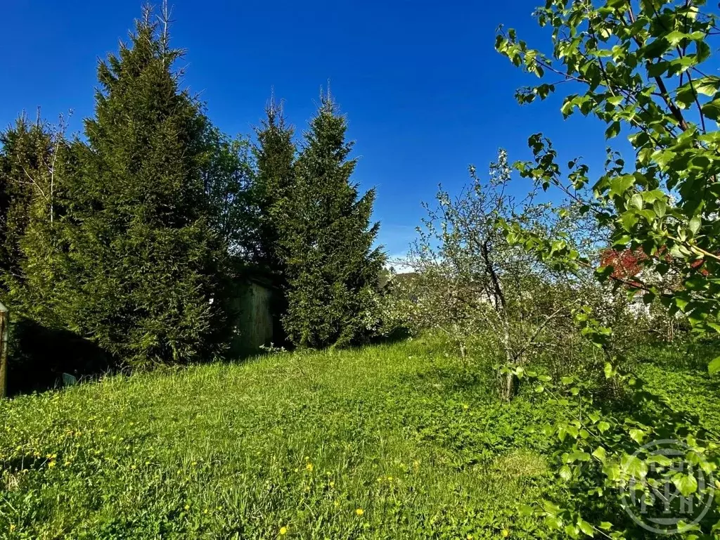 Участок в Ленинградская область, Всеволожский район, Юкковское с/пос, ... - Фото 2