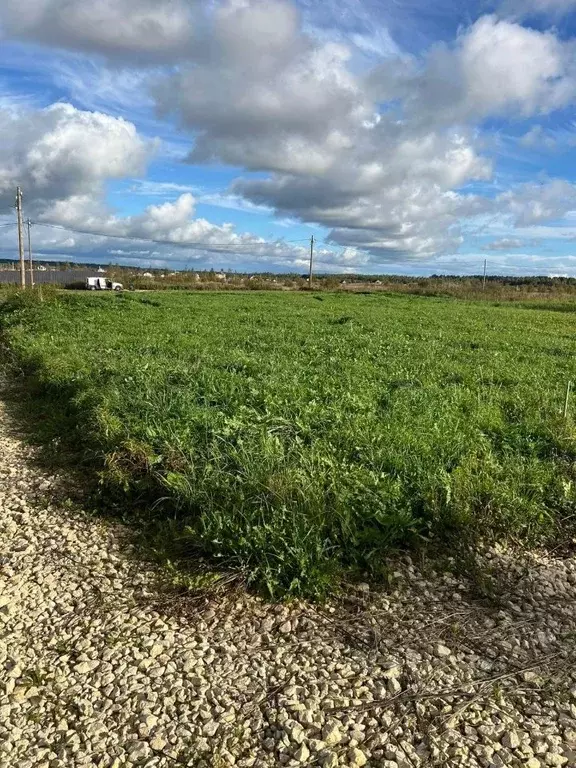 Участок в Ленинградская область, Ломоносовский район, Лопухинское ... - Фото 1