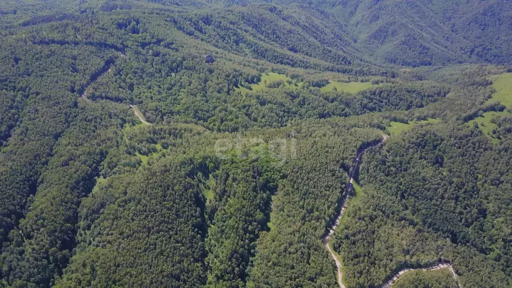Участок в Алтайский край, Смоленский район, с. Сычевка  (800.9 сот.) - Фото 2