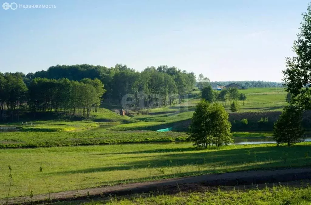 Участок в Заокский район, сельское поселение Демидовское, деревня ... - Фото 2
