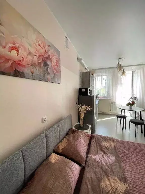 1-к кв. Костромская область, Кострома ул. Нижняя Дебря, 32Б (21.0 м) - Фото 2