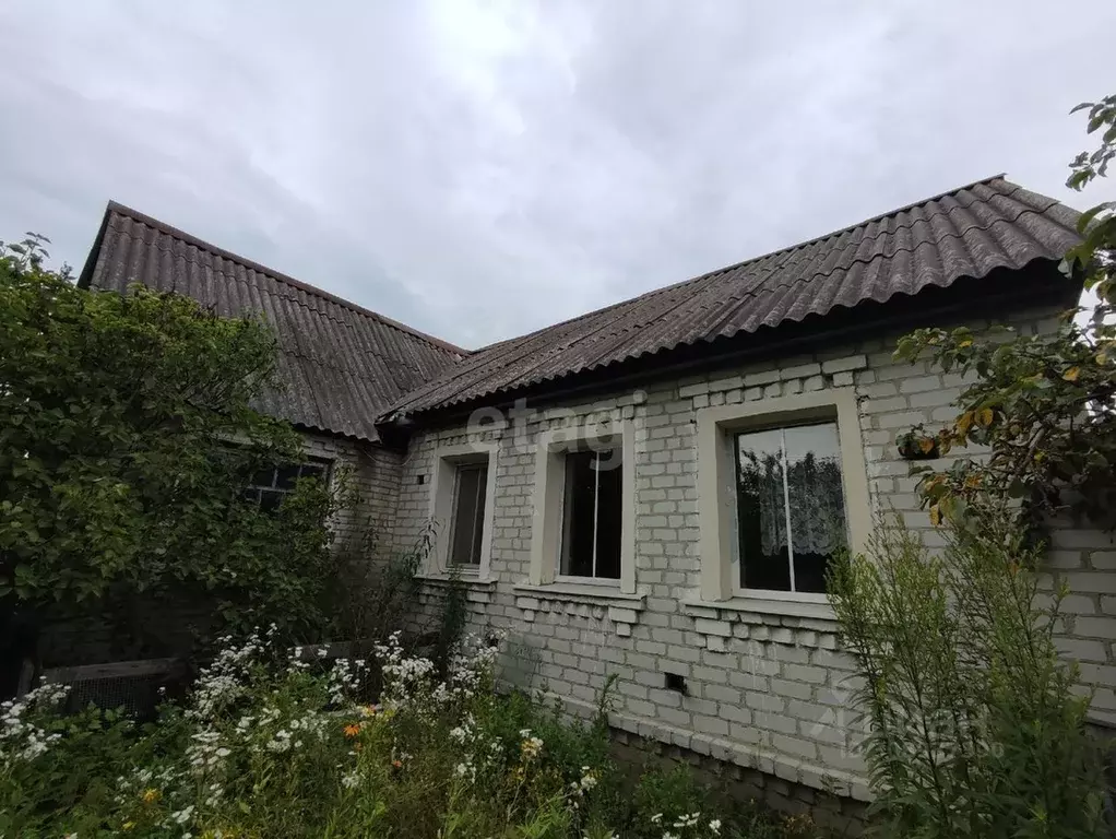 Участок в Брянская область, Брянский район, Нетьинское с/пос, пос. ... - Фото 1