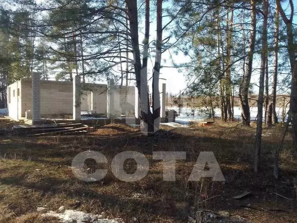 Дом в Рамонский район, Новоживотинновское сельское поселение, ... - Фото 2