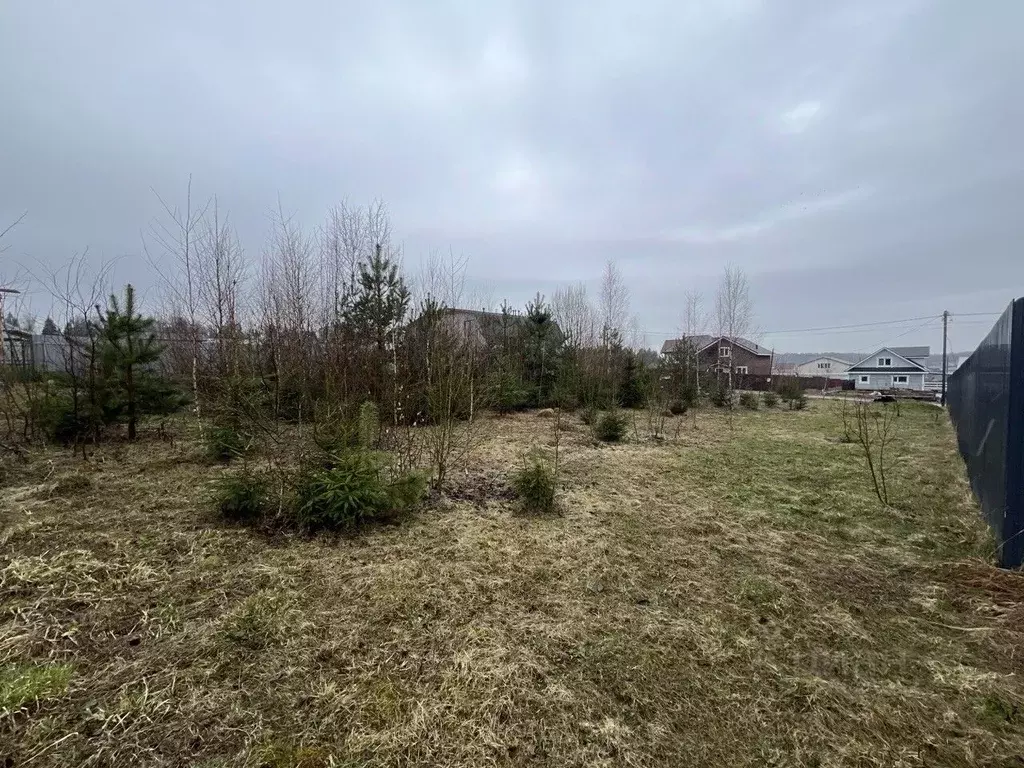 Участок в Московская область, Солнечногорск городской округ, Семейный ... - Фото 2