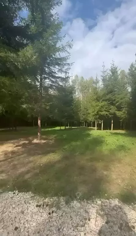 Участок в Московская область, Ступино городской округ, Шелково Форест ... - Фото 1