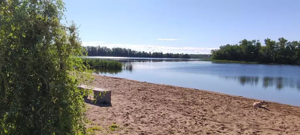 Участок в Саратовская область, Энгельсский район, Красноярское ... - Фото 0