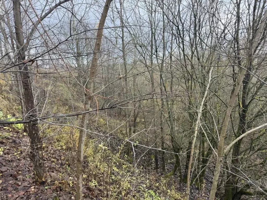 Участок в Московская область, Пушкинский городской округ, Софрино пгт  ... - Фото 2