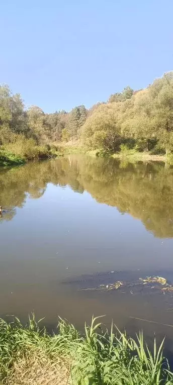 Участок в Калужская область, Жуковский муниципальный округ, Корсаково ... - Фото 1