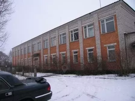 Помещение свободного назначения в Псковская область, Новоржев ул. ... - Фото 1