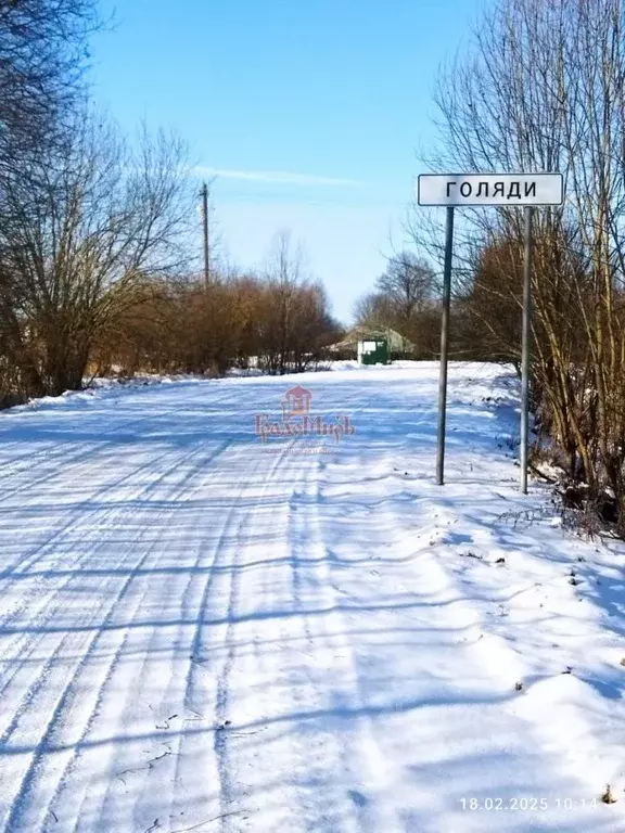 Участок в Московская область, Дмитровский муниципальный округ, д. ... - Фото 0