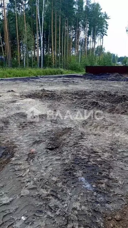 Участок в Ленинградская область, Всеволожский район, Свердловское ... - Фото 0