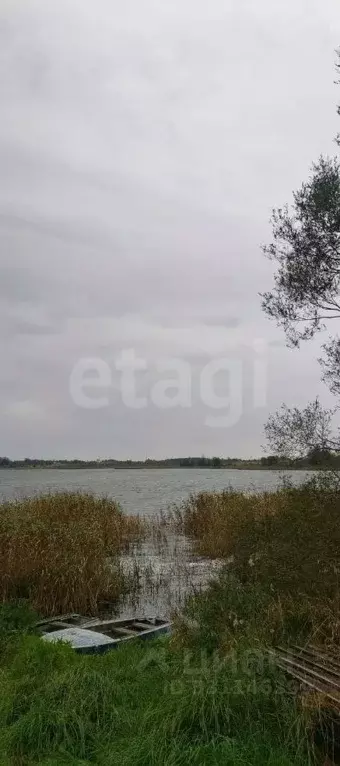 Участок в Псковская область, Палкинский муниципальный округ, д. ... - Фото 1