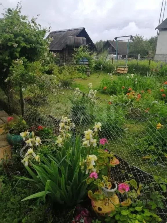 Дом в Псковская область, Островский район, Воронцовская волость, д. ... - Фото 2