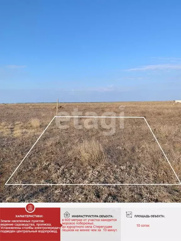 Участок в Крым, Раздольненский район, Славновское с/пос, Отдых СНТ  ... - Фото 1