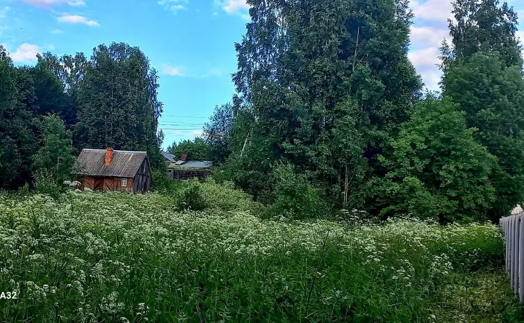 Дом в Вологодская область, Грязовецкий муниципальный округ, д. ... - Фото 2