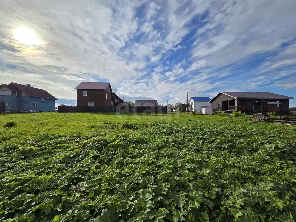 Участок в Коми, Сыктывдинский район, с. Выльгорт ул. Совхозная, 2 ... - Фото 2