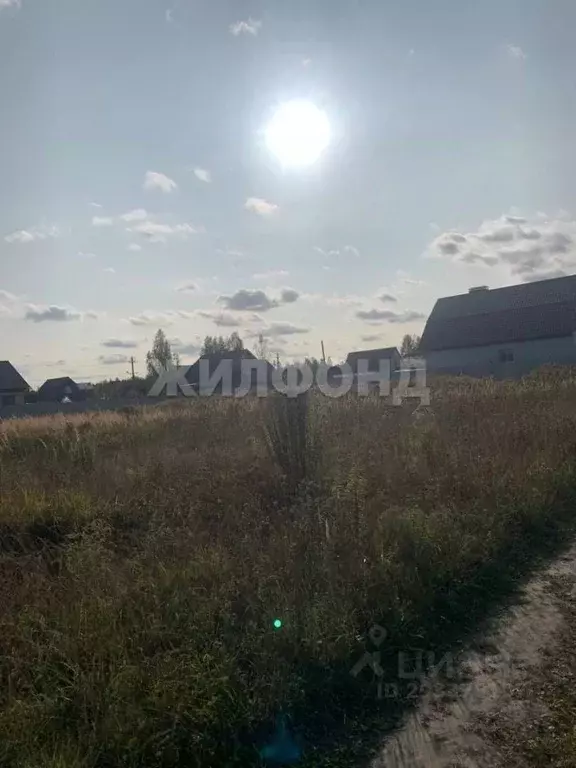 Участок в Брянская область, Дятьково Луговая ул. (10.0 сот.) - Фото 0