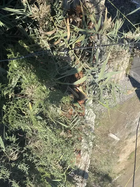 Участок в Дагестан, Каспийск Колос СНТ, ул. 3-я Линия (7.2 сот.) - Фото 2