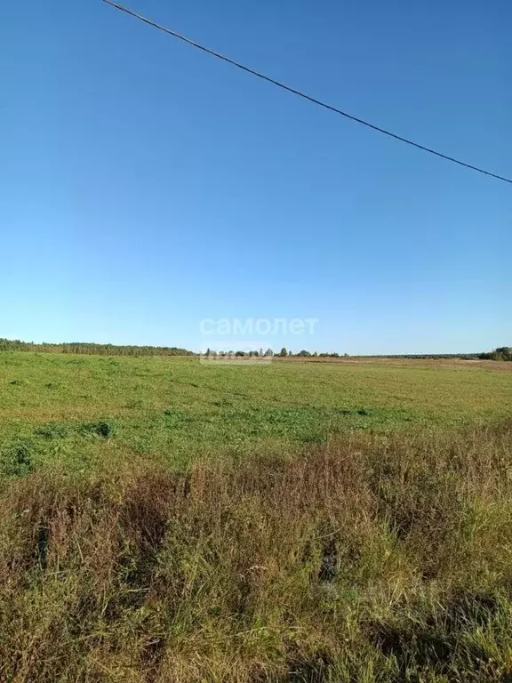 Участок в Владимирская область, Судогодский район, д. Станки  (19.54 ... - Фото 1