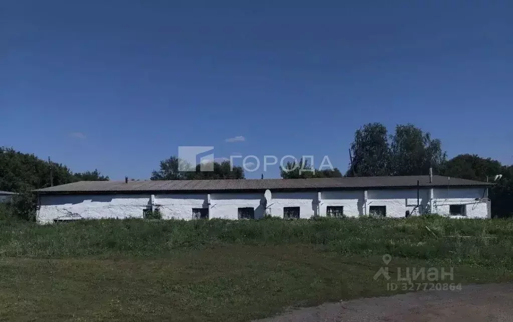 Помещение свободного назначения в Алтайский край, Троицкий район, с. ... - Фото 1
