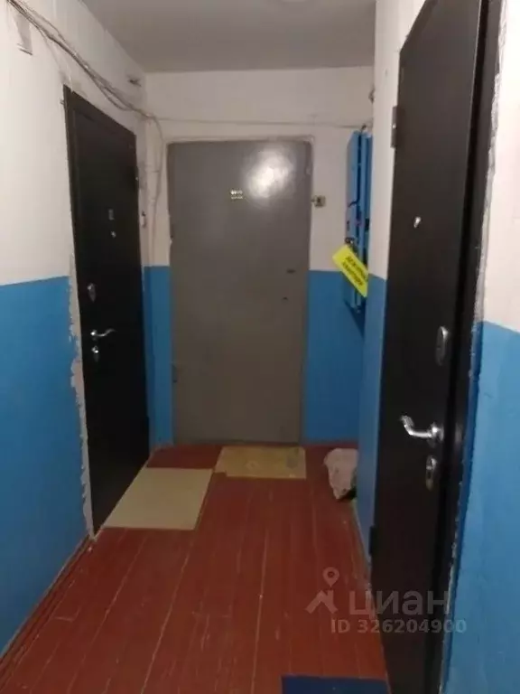 1-к кв. Алтайский край, Новоалтайск ул. 40 лет ВЛКСМ, 11 (22.0 м) - Фото 2