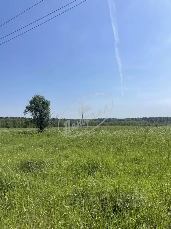 Участок в Калужская область, Дзержинский муниципальный округ, Угорское ... - Фото 1
