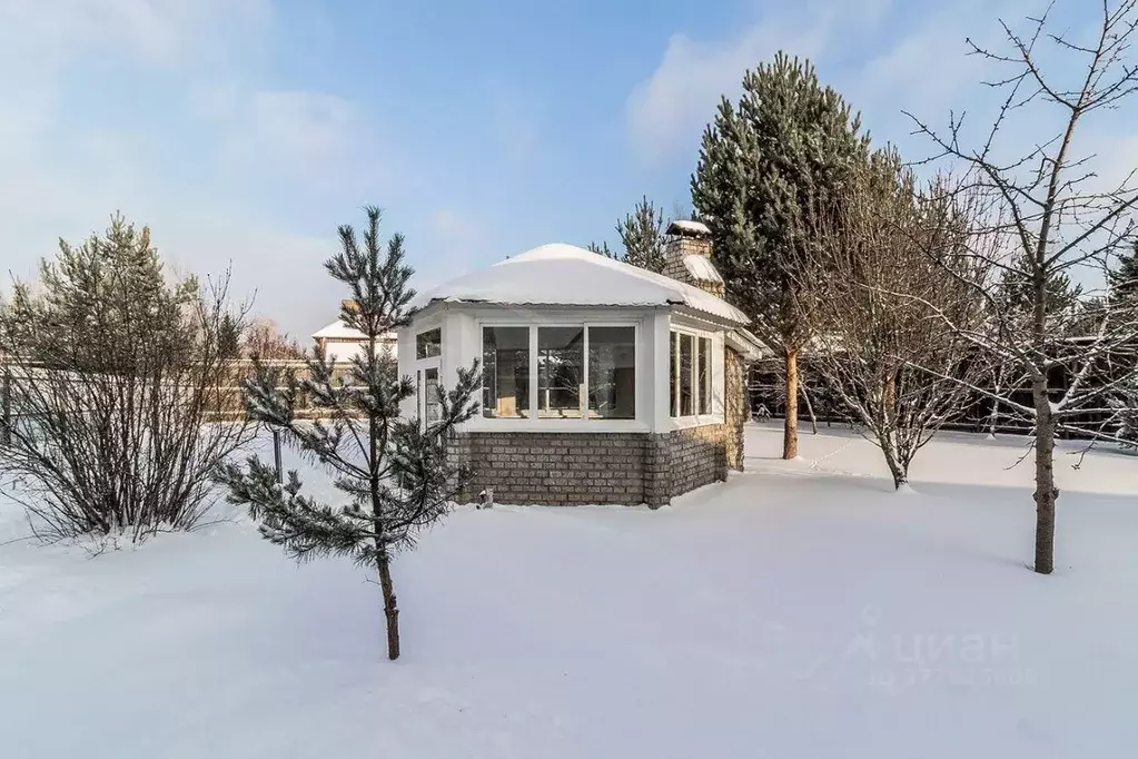 Участок в Московская область, Истра муниципальный округ, д. Борзые ул. ... - Фото 2