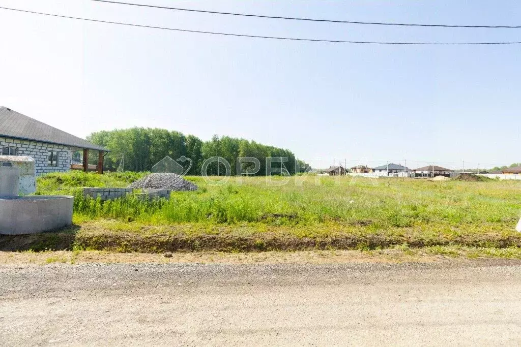 Участок в Тюменская область, Тюменский муниципальный округ, с. Кулига  ... - Фото 1